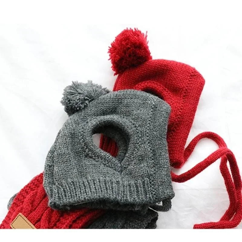 Bonnet pour chien TEDDY | chapeau chien