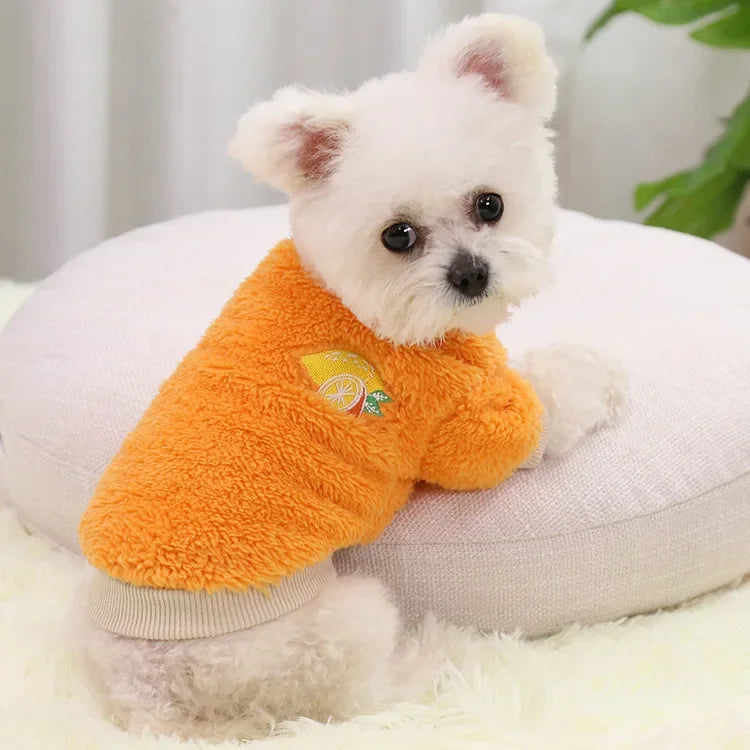 Chandail pour chien DOGGYFâą | sweat Ă capuche