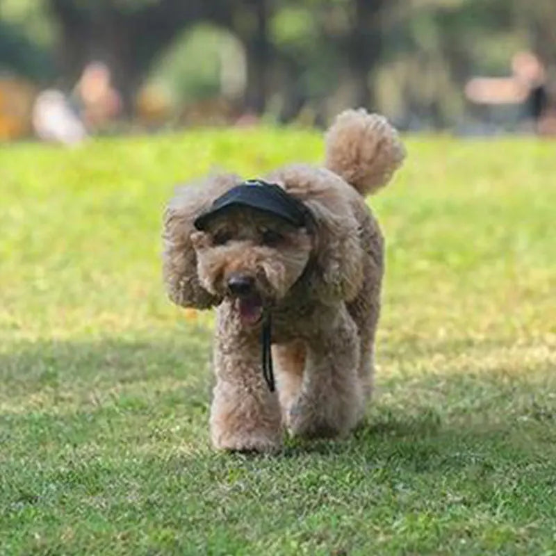 Casquette pour chien KELSON™ | casquette pour maître
