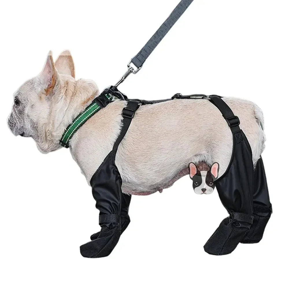Bottes chien MATEE™ | ajustables imperméables