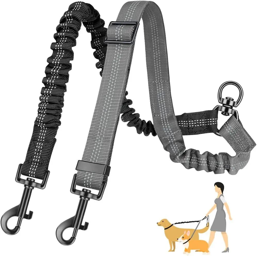 Laisse double pour chien GINJO™ | réglable bungee