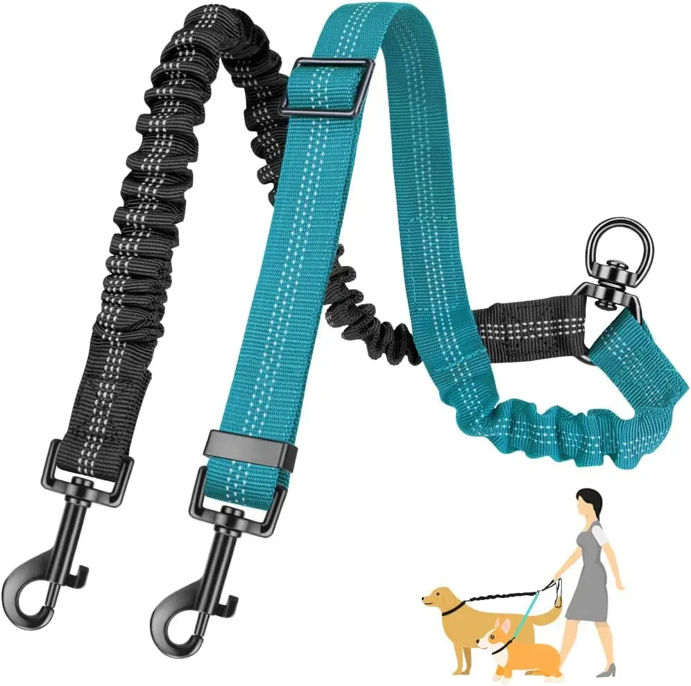 Laisse double pour chien GINJO™ | réglable bungee