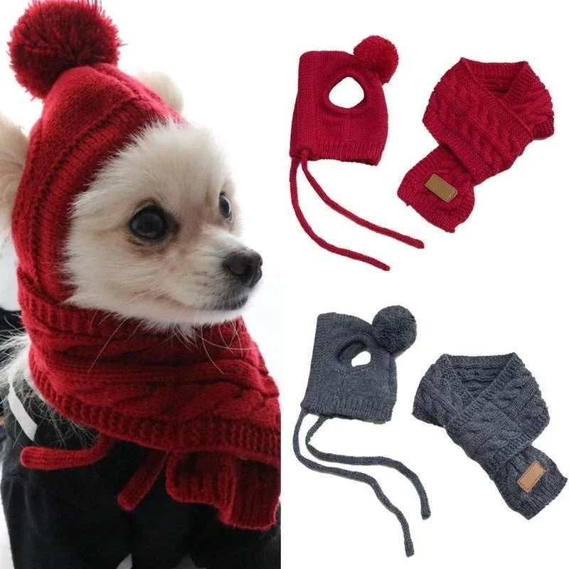 Bonnet pour chien TEDDY | chapeau chien
