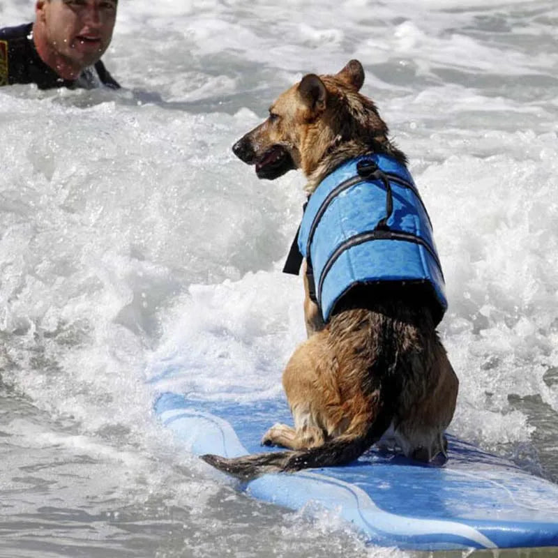 Veste de sauvetage pour chien GUERTAâą | gilet de sauvetage