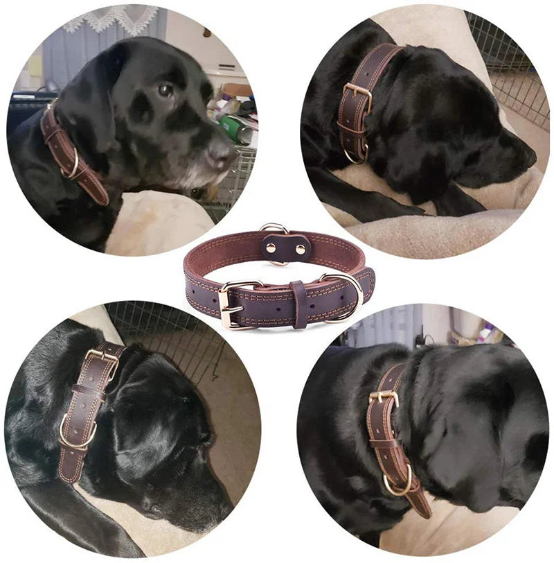 Collier chien MATEOM™ | cuir double anneau D