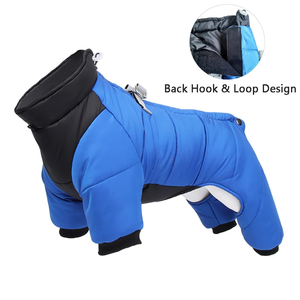 Manteau pour chien GOOZO™ | doudoune hiver