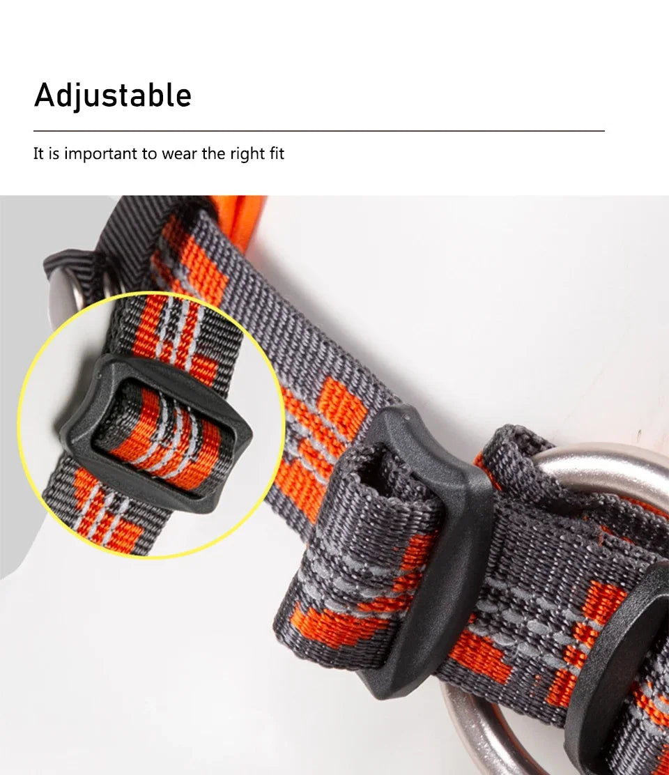 Collier chien WINHYE™ | nylon anti traction