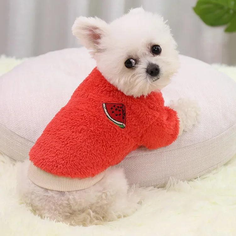 Chandail pour chien DOGGYFâą | sweat Ă capuche