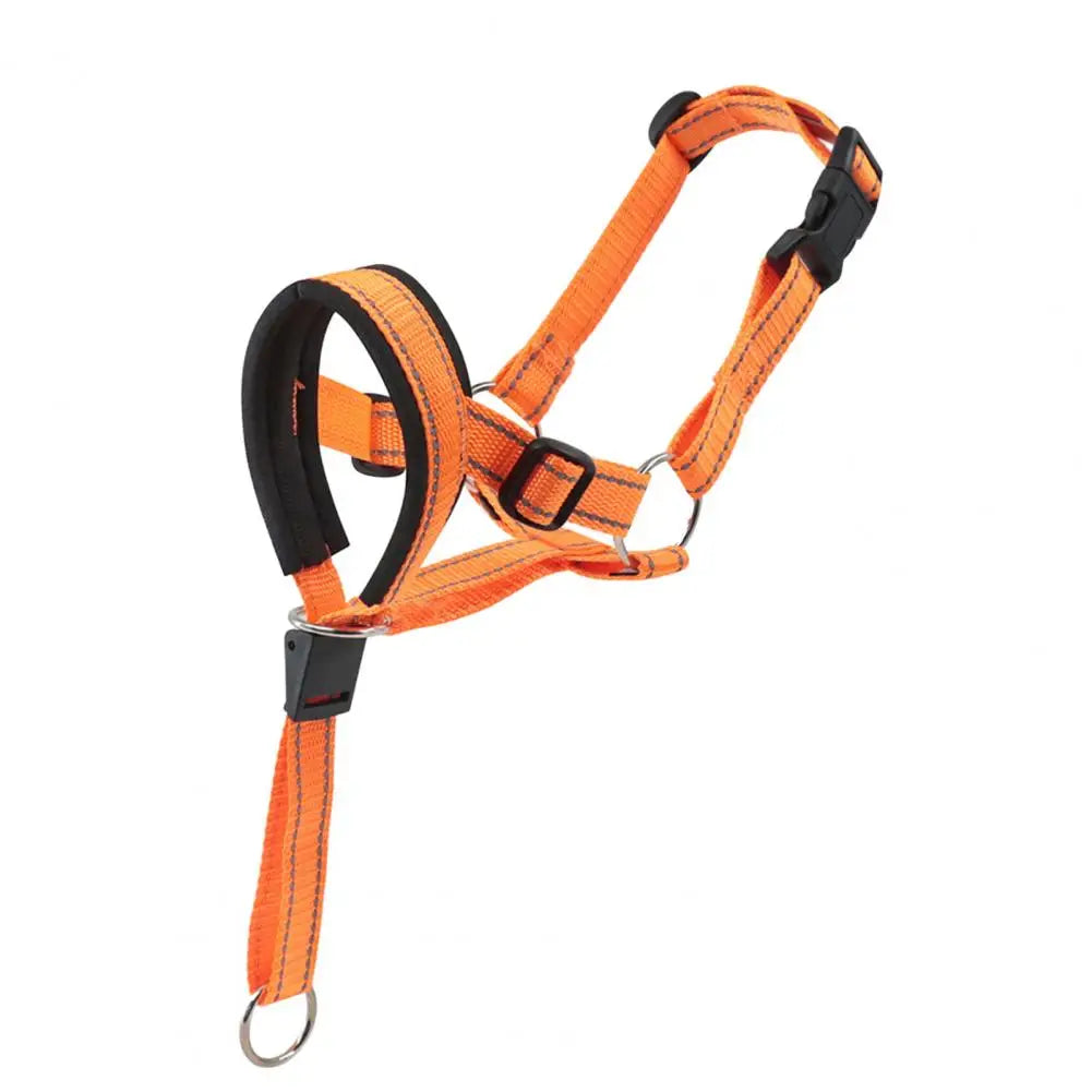 Collier dressage chien SERGAR™ | licou