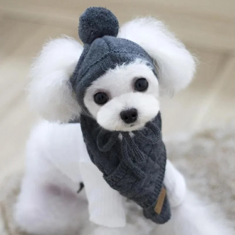 Bonnet pour chien TEDDY | chapeau chien