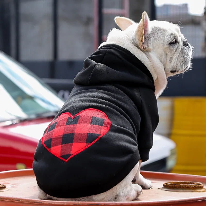 Sweat Ă capuche chien MEGHâą | pull chandail