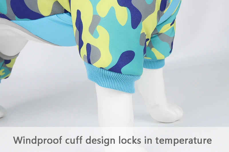 Manteau pour chien GOOZO™ | doudoune hiver