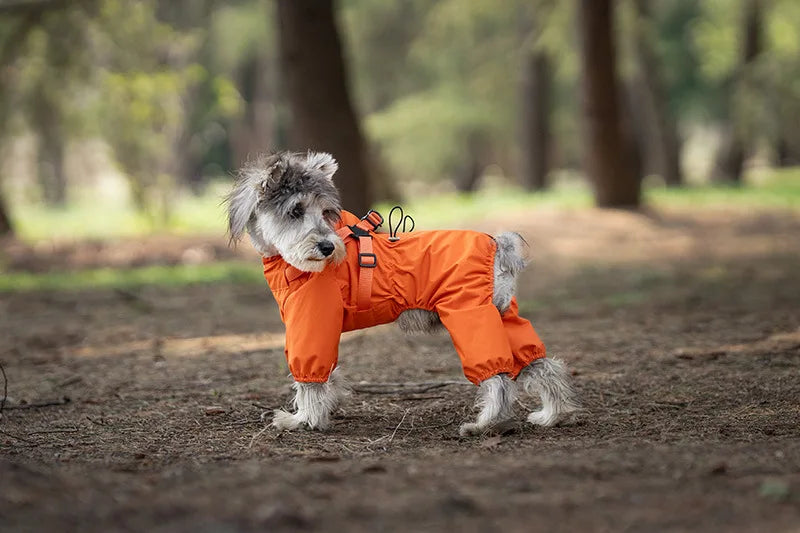 Imperméable pour chien HALUK™ | manteau de pluie avec harnais