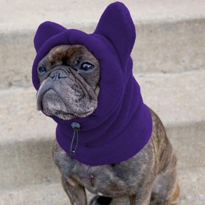 Bonnet pour chien TEOPETâą | chapeau d'hiver