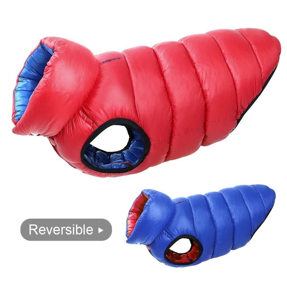 GLACEDOG™ chien | Manteau chien Doudoune - Passion d'Edgar