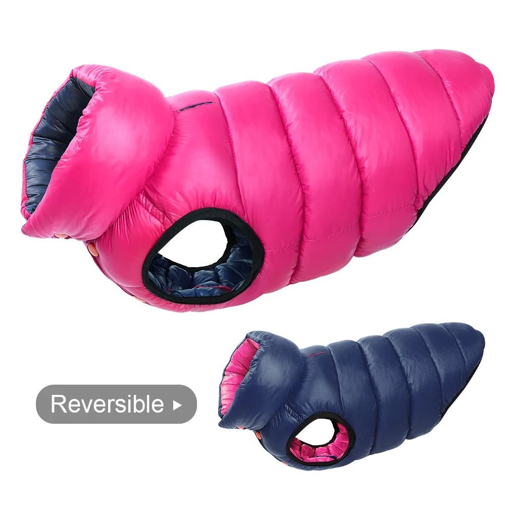 GLACEDOG™ chien | Manteau chien Doudoune - Passion d'Edgar