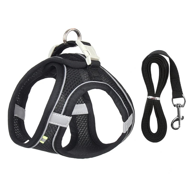 HARNAISFLASH™ | Harnais pour chien réfléchissant - Passion d'Edgar