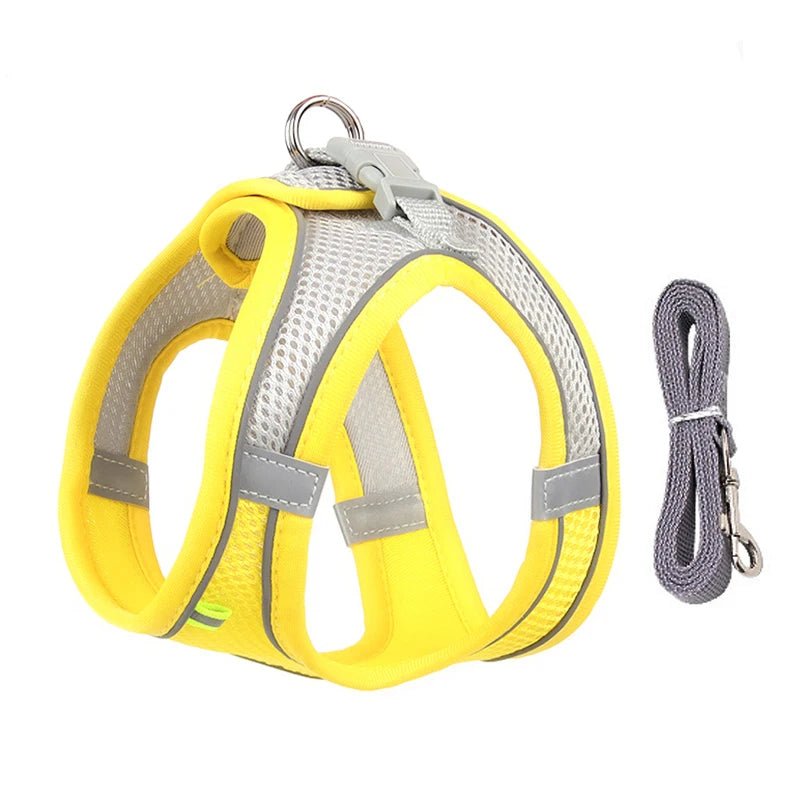 HARNAISFLASH™ | Harnais pour chien réfléchissant - Passion d'Edgar