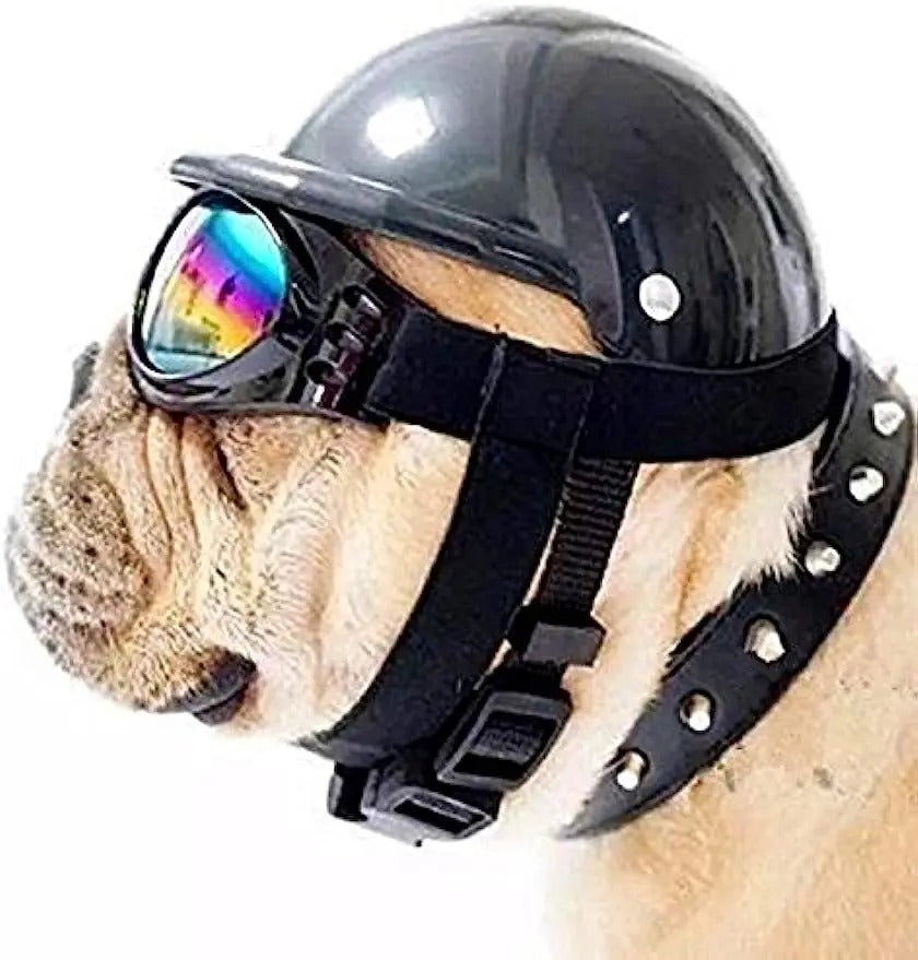 Casque et lunettes chien GUERRAMâą