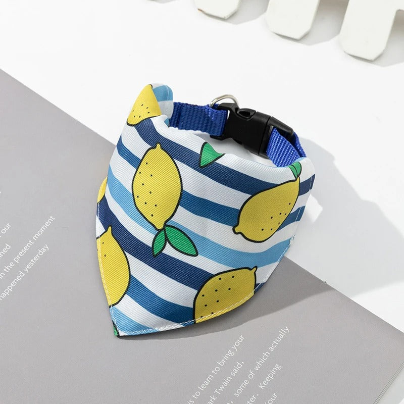 Bandana pour chien | ZULULY™