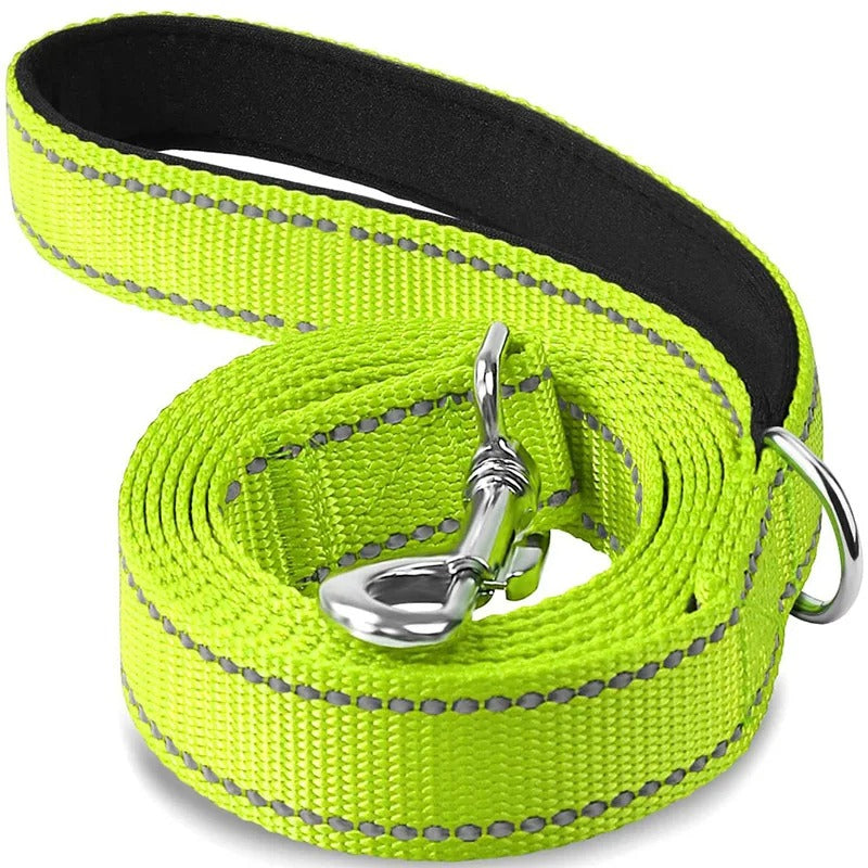 Laisse chien POCONOS™ | nylon entrainement