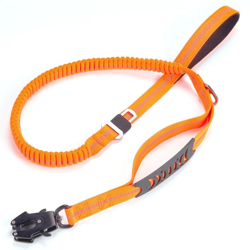 Laisse chien LOVATOS™ | tactique élastique