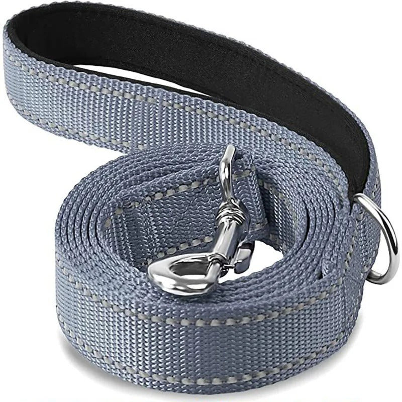 Laisse chien POCONOS™ | nylon entrainement