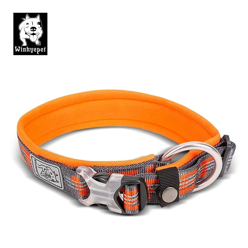 Collier chien WINHYE™ | nylon anti traction