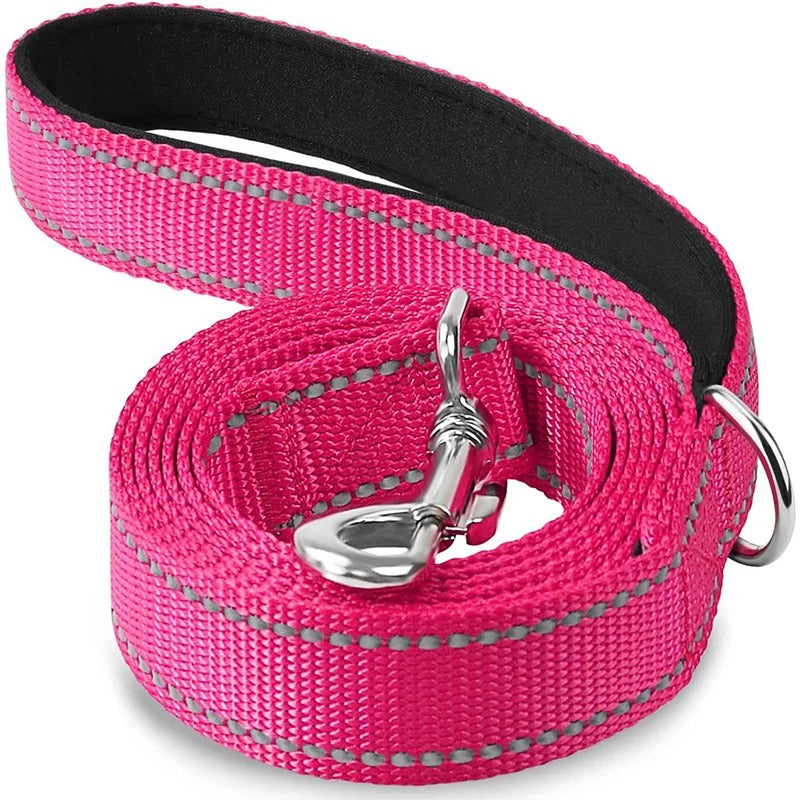 Laisse chien POCONOS™ | nylon entrainement