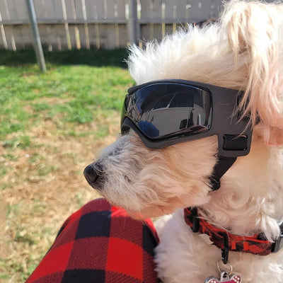Lunettes - Casques