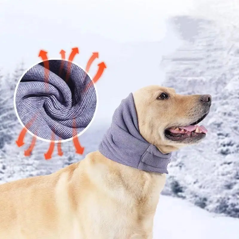 Cache oreilles pour Chien | LEZITO™