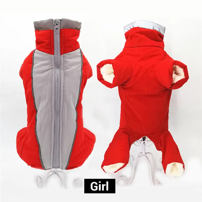 Doudoune chien GLORIUS™ | manteau d'hiver