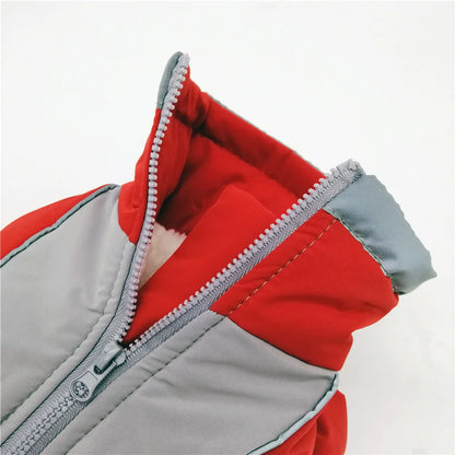 Doudoune chien GLORIUS™ | manteau d'hiver