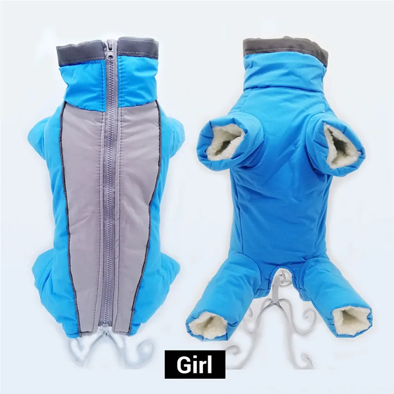 Doudoune chien GLORIUS™ | manteau d'hiver