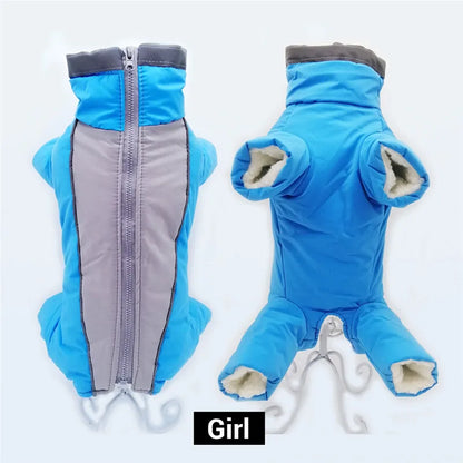 Doudoune chien GLORIUS™ | manteau d'hiver