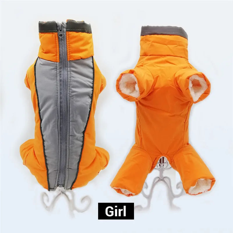Doudoune chien GLORIUS™ | manteau d'hiver