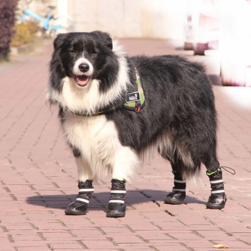 Bottes chien ZAPA™ | antidérapantes imperméables