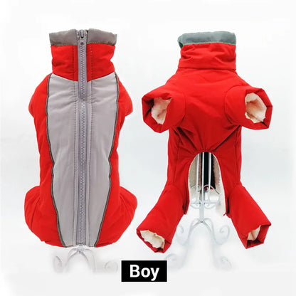 Doudoune chien GLORIUS™ | manteau d'hiver