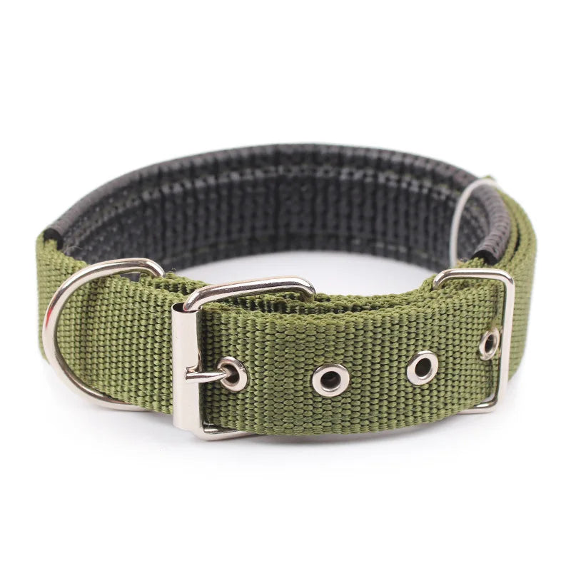 Collier pour chien  MEYER™ | nylon réglable