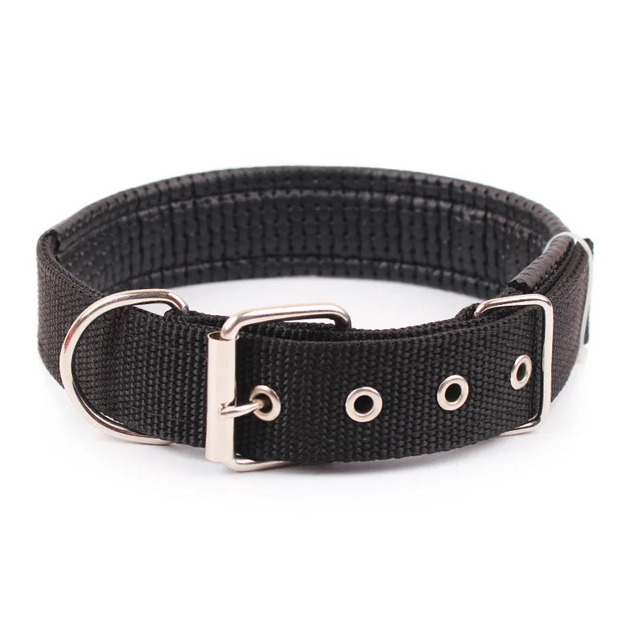 Collier pour chien  MEYER™ | nylon réglable