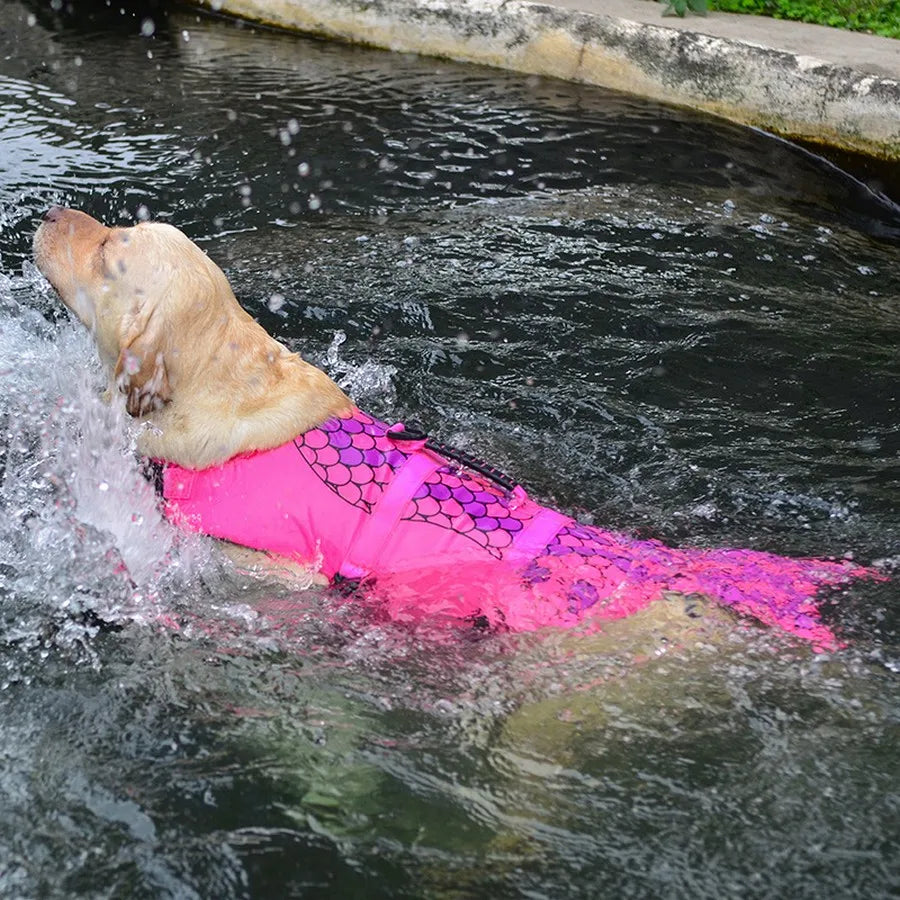 Veste de flottaison pour chien ROPA™ | gilet de sauvetage