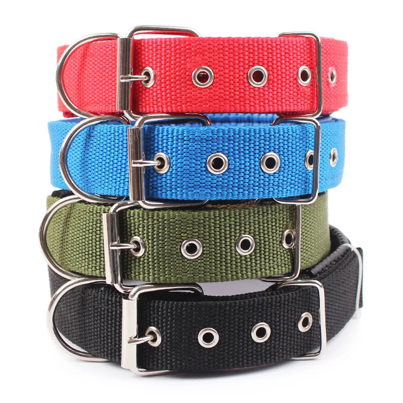 Collier pour chien  MEYER™ | nylon réglable