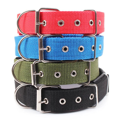 Collier pour chien  MEYER™ | nylon réglable