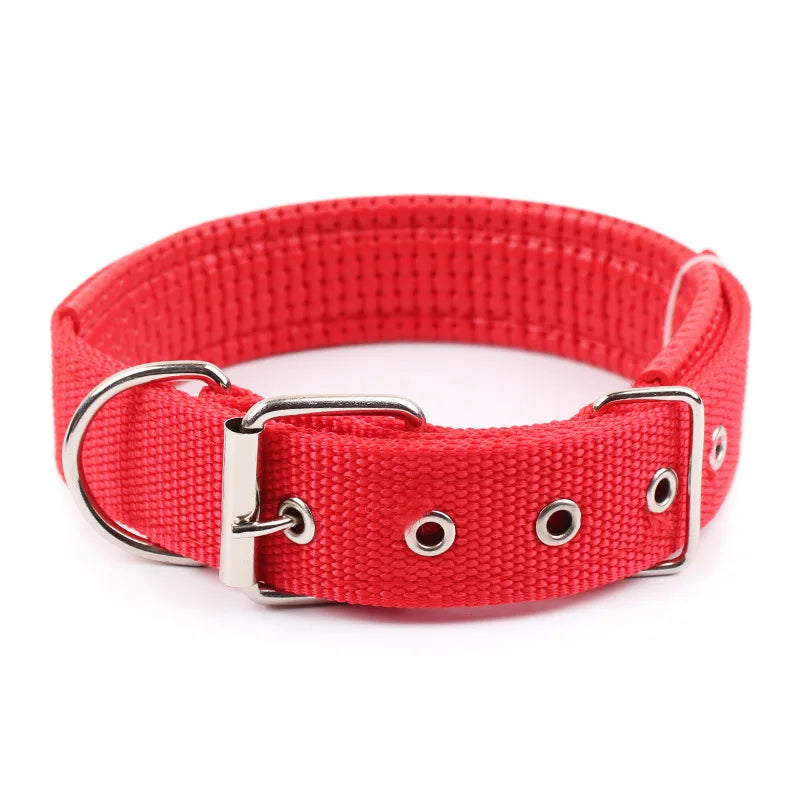 Collier pour chien  MEYER™ | nylon réglable