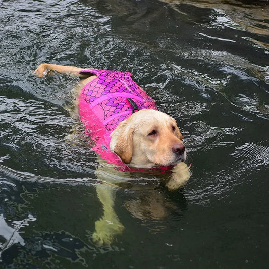 Veste de flottaison pour chien ROPA™ | gilet de sauvetage