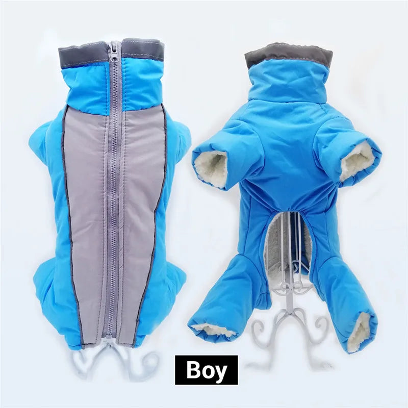 Doudoune chien GLORIUS™ | manteau d'hiver