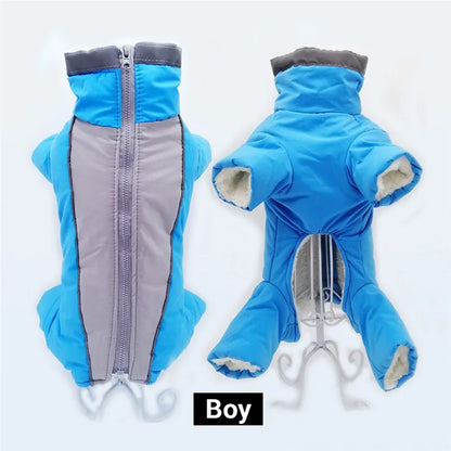 Doudoune chien GLORIUS™ | manteau d'hiver