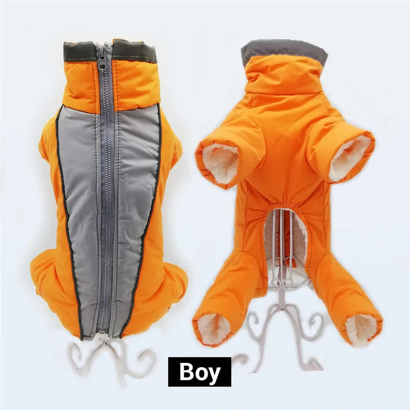 Doudoune chien GLORIUS™ | manteau d'hiver