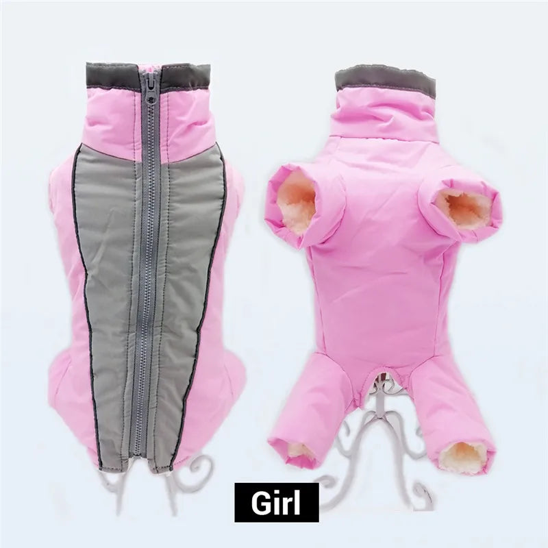 Doudoune chien GLORIUS™ | manteau d'hiver