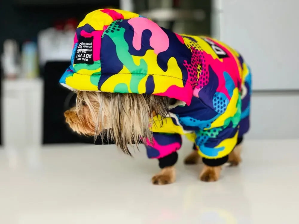 Manteau chien JISOSO™ | doudoune d'hiver